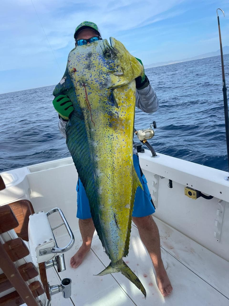 Big Mahi Mahi