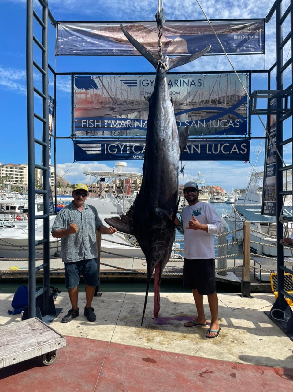 Big Marlin