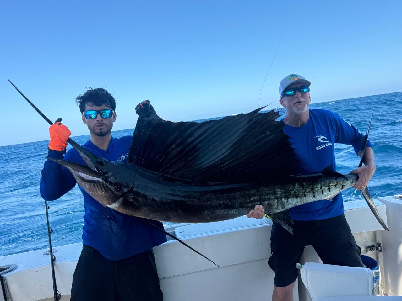 Sailfish