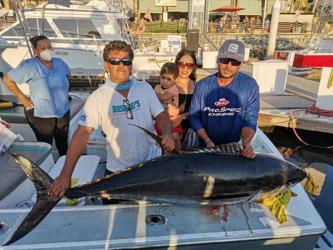 Tuna